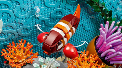 LEGO set 10366 – Tropisch aquarium –  uit de Lego Icons collectie, te huur in West- en Oost-Vlaanderen bij Brickset for You
